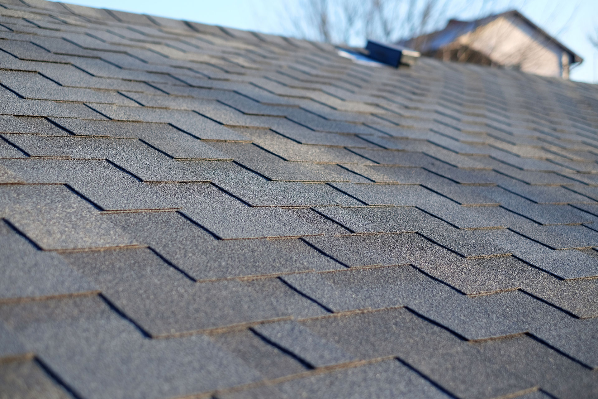 Shingle roofing