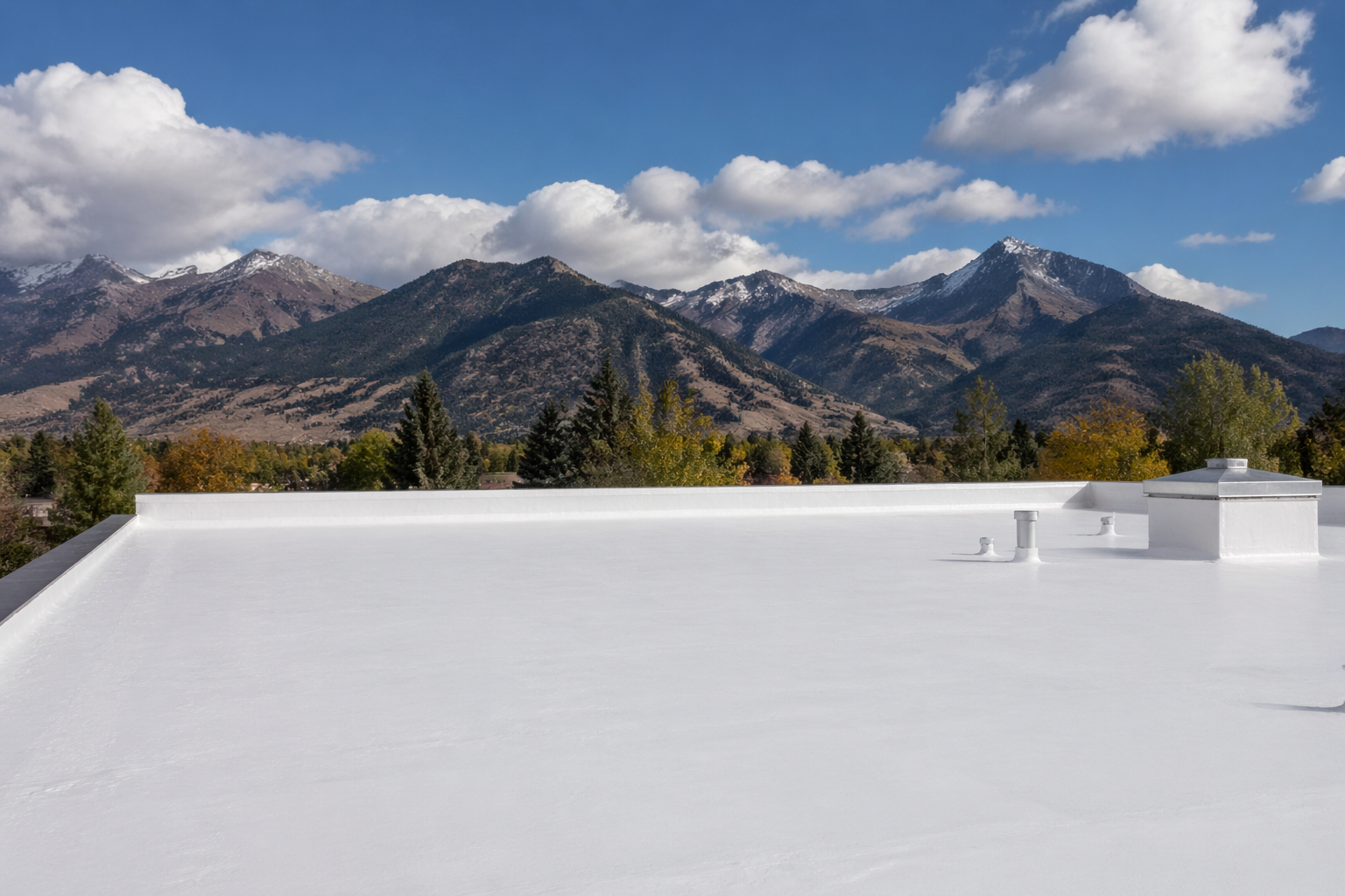 Elastomeric roof protection